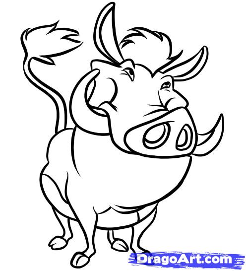 how-to-draw-pumba-step-6_1_000000024637_5