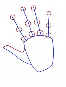 how-to-draw-realistic-hands-draw-hands-step-3_1_000000065585_3