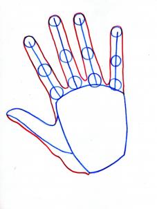 how-to-draw-realistic-hands-draw-hands-step-4_1_000000065587_3