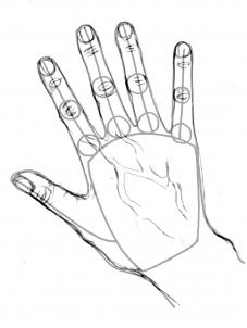 how-to-draw-realistic-hands-draw-hands-step-6_1_000000065591_3