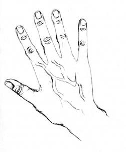 how-to-draw-realistic-hands-draw-hands-step-7_1_000000065593_3