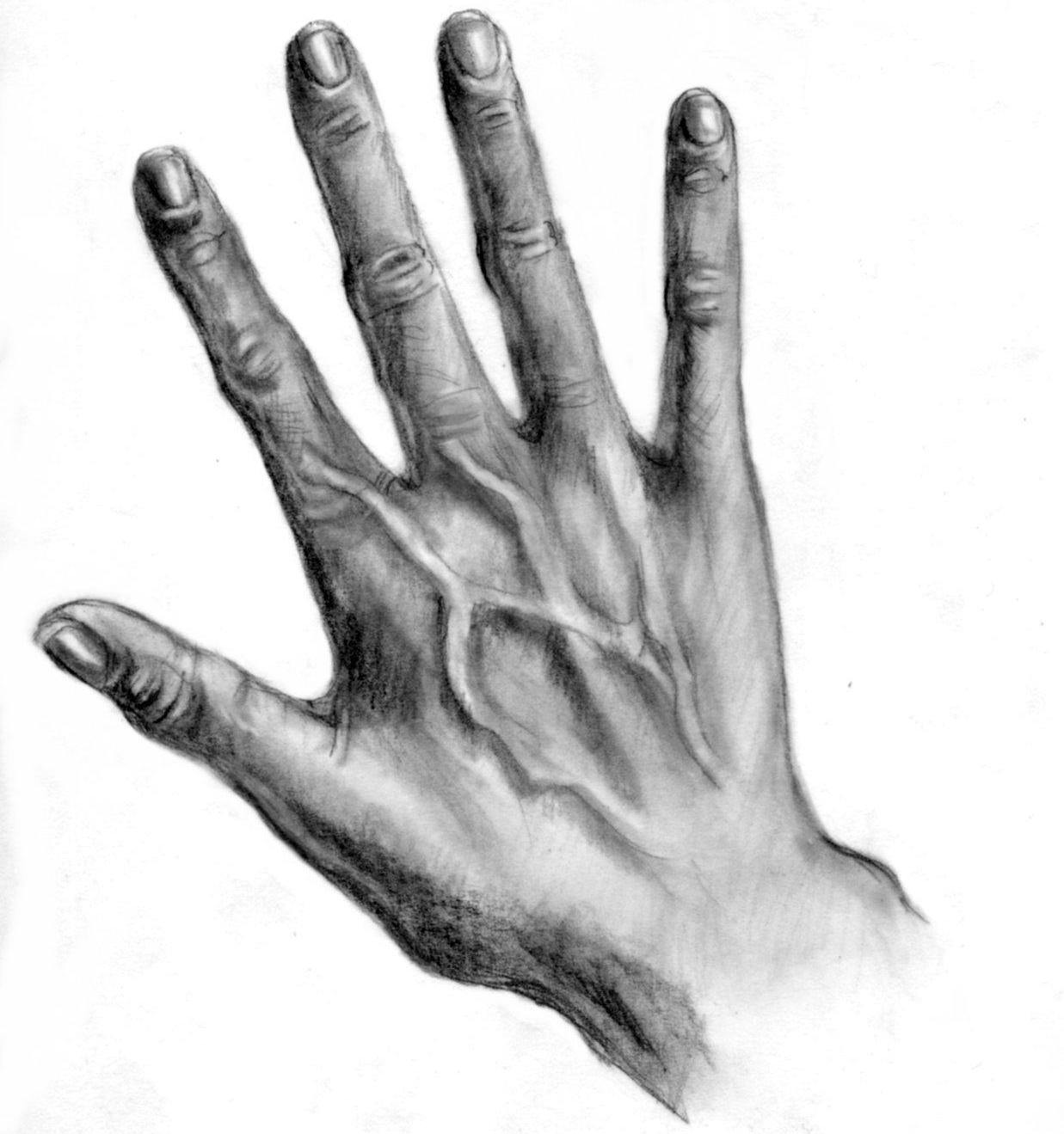 how-to-draw-realistic-hands-draw-hands_1_000000009019_5