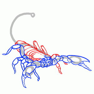 how-to-draw-scorpions-step-11_1_000000127401_3