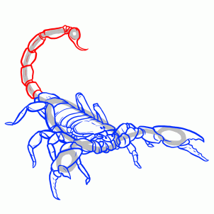 how-to-draw-scorpions-step-12_1_000000127403_3