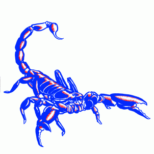 how-to-draw-scorpions-step-16_1_000000127411_3