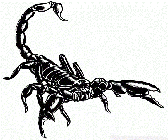 how-to-draw-scorpions-step-17_1_013_5