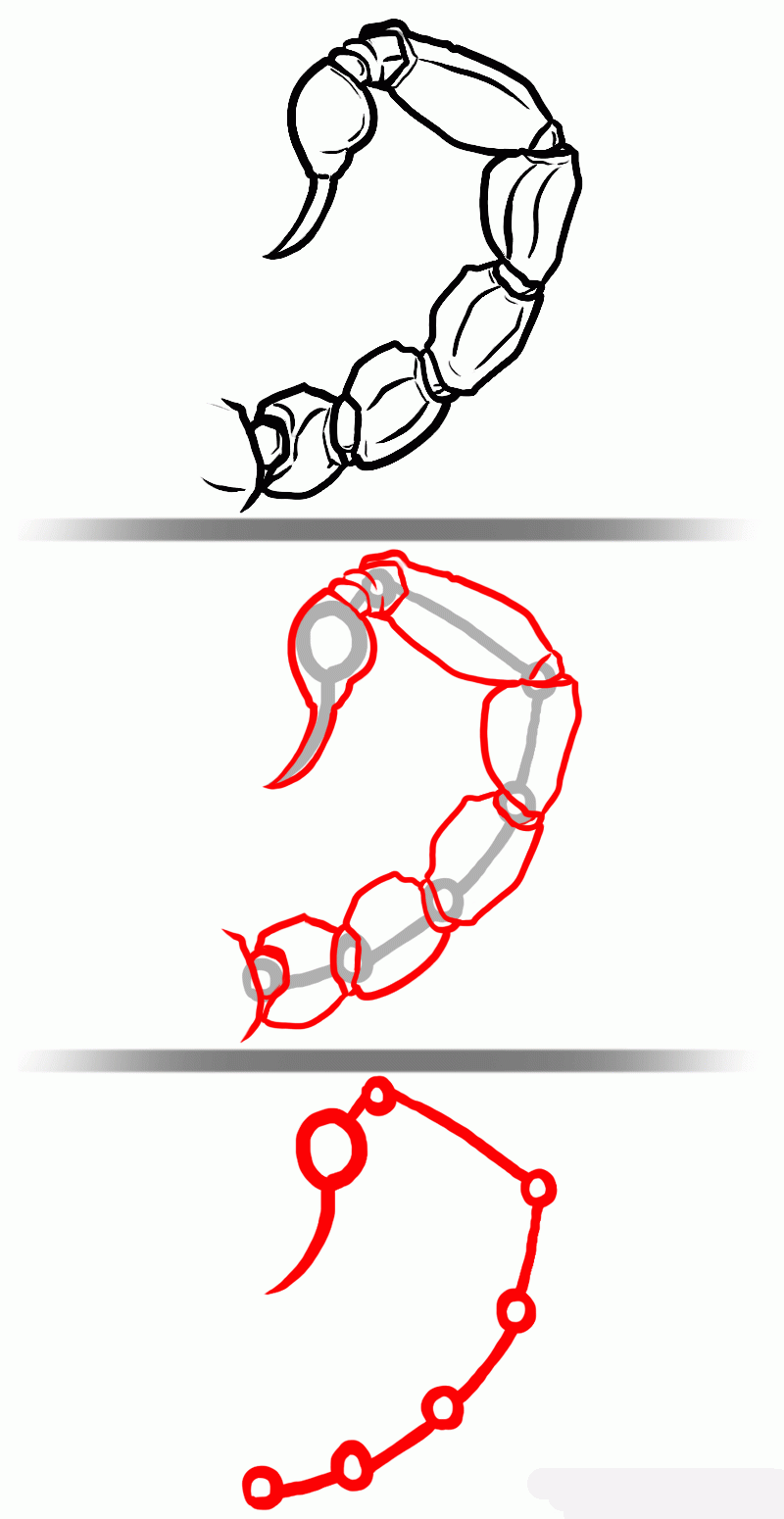 how-to-draw-scorpions-step-3_1_000000127385_5