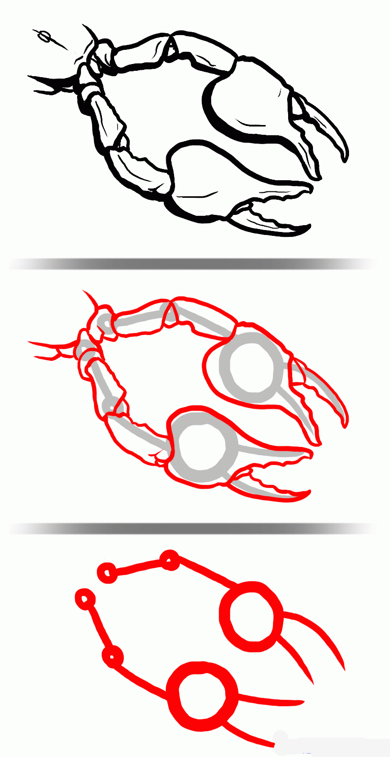 how-to-draw-scorpions-step-4_1_000000127387_5