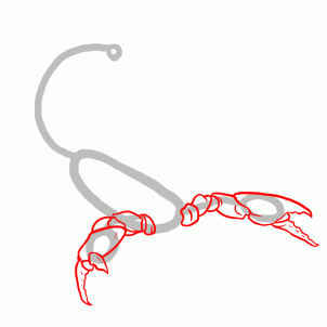 how-to-draw-scorpions-step-8_1_000000127395_3