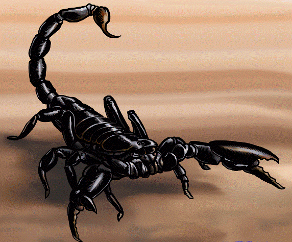 how-to-draw-scorpions_1_0090_5