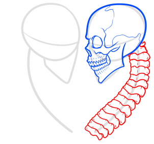 how-to-draw-skeleton-lovers-step-5_1_000000183845_3