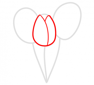 how-to-draw-spring-tulips-step-2_1_000000181024_3