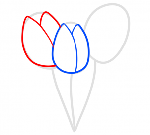 how-to-draw-spring-tulips-step-3_1_000000181025_3