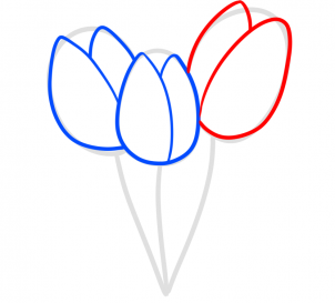 how-to-draw-spring-tulips-step-4_1_000000181026_3
