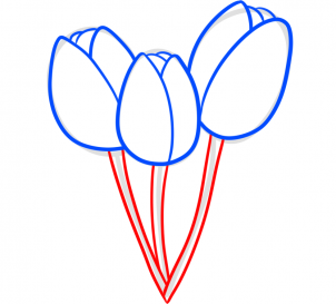 how-to-draw-spring-tulips-step-6_1_000000181028_3