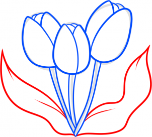 how-to-draw-spring-tulips-step-7_1_000000181029_3