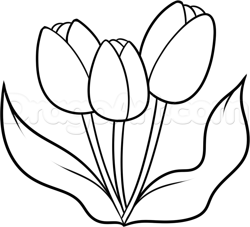 how-to-draw-spring-tulips-step-815