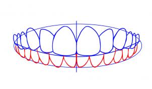 how-to-draw-teeth-step-5_1_000000013174_3