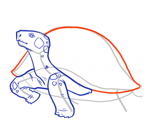 how-to-draw-turtles-step-10_1_000000103965_3