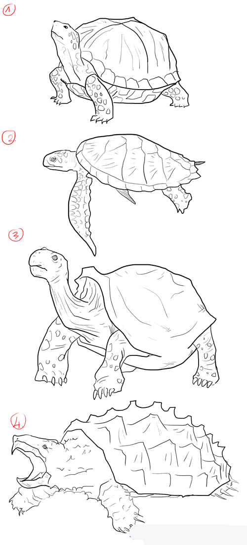 how-to-draw-turtles-step-1_1_000000103947_5 копия