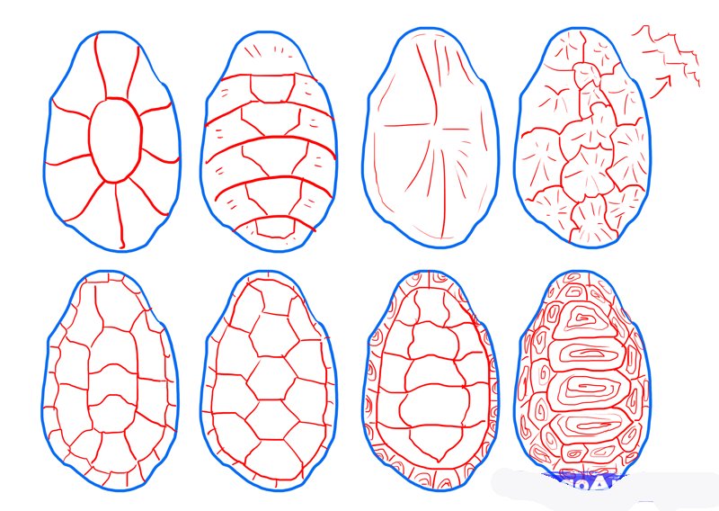 how-to-draw-turtles-step-3_1_000000103951_5 копия