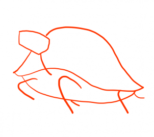 how-to-draw-turtles-step-4_1_000000103953_3