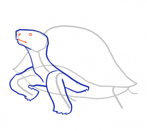 how-to-draw-turtles-step-7_1_000000103959_3