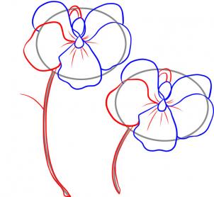 how-to-draw-violets-step-4_1_000000032391_3