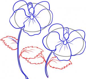 how-to-draw-violets-step-5_1_000000032393_3