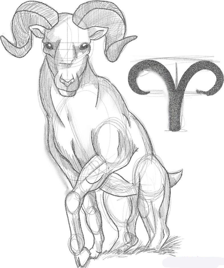 how-to-draw-zodiac-sign-aries-step-5_1_000000004758_5