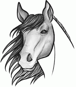 how-to-sketch-a-horse-step-10_1_000000093909_3
