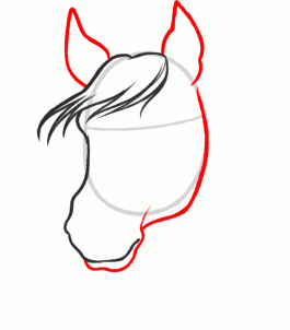 how-to-sketch-a-horse-step-4_1_000000093897_3