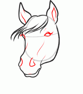 how-to-sketch-a-horse-step-5_1_000000093899_3