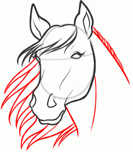 how-to-sketch-a-horse-step-6_1_000000093901_3