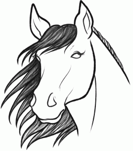 how-to-sketch-a-horse-step-7_1_000000093903_3
