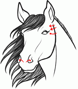 how-to-sketch-a-horse-step-8_1_000000093905_3