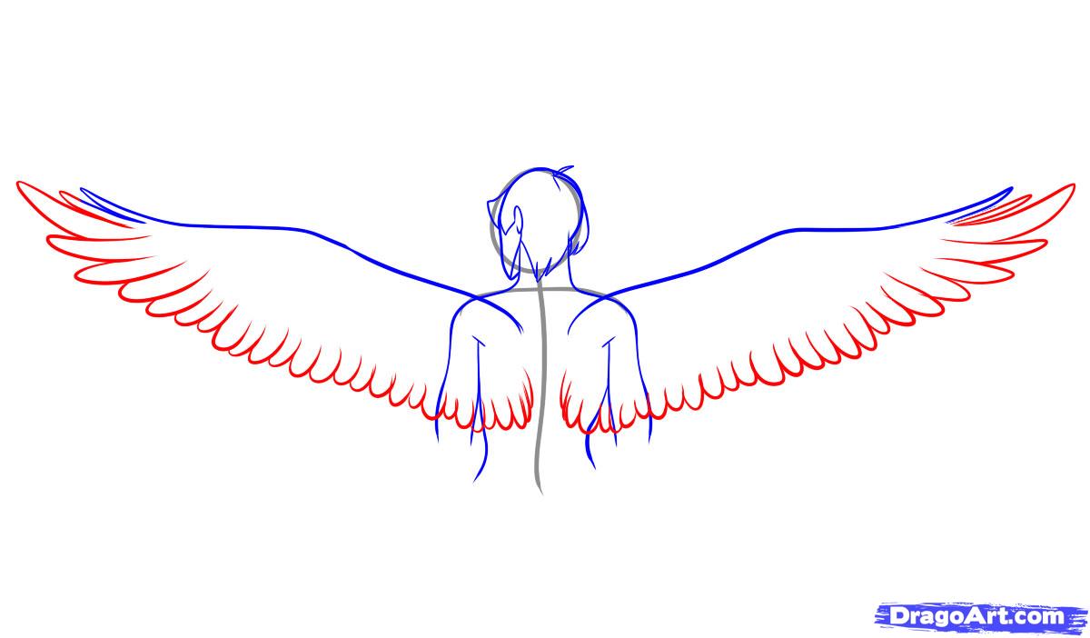 drawing-wings-step-7_1_000000042431_5