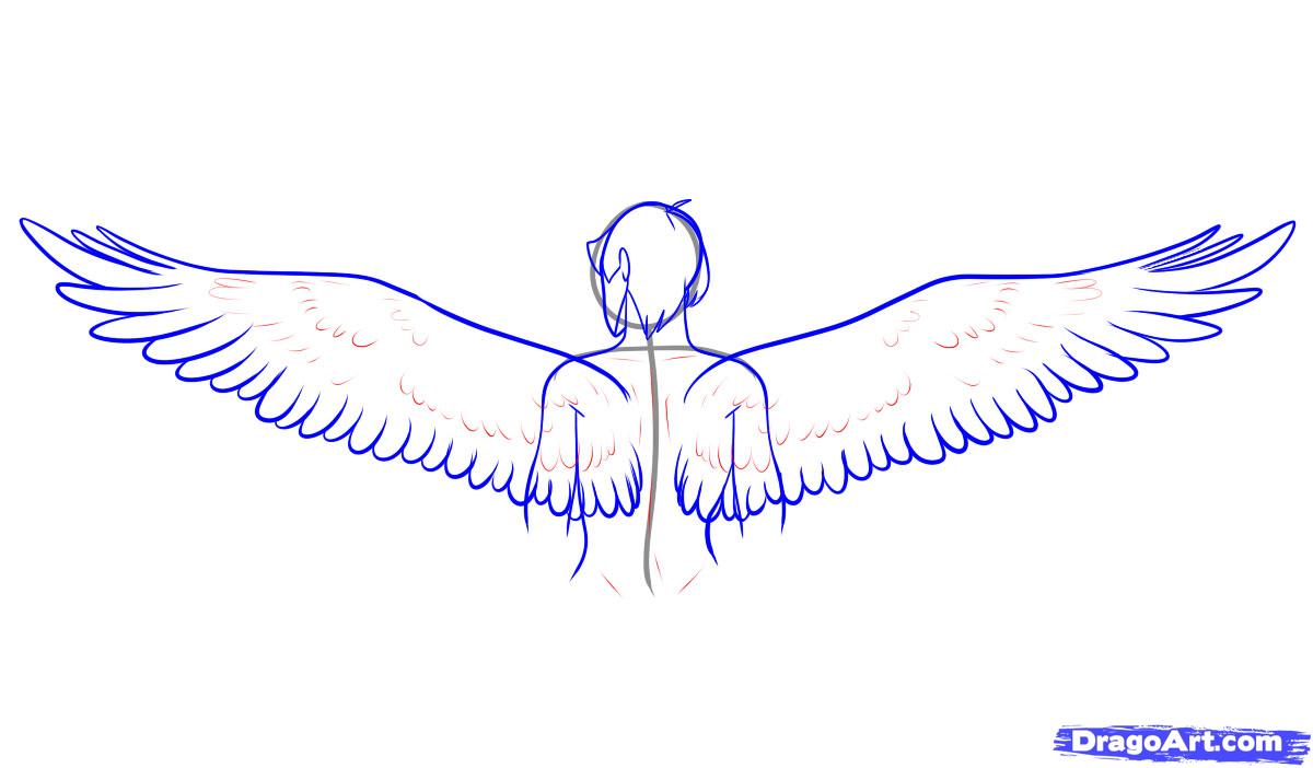 drawing-wings-step-8_1_000000042433_5