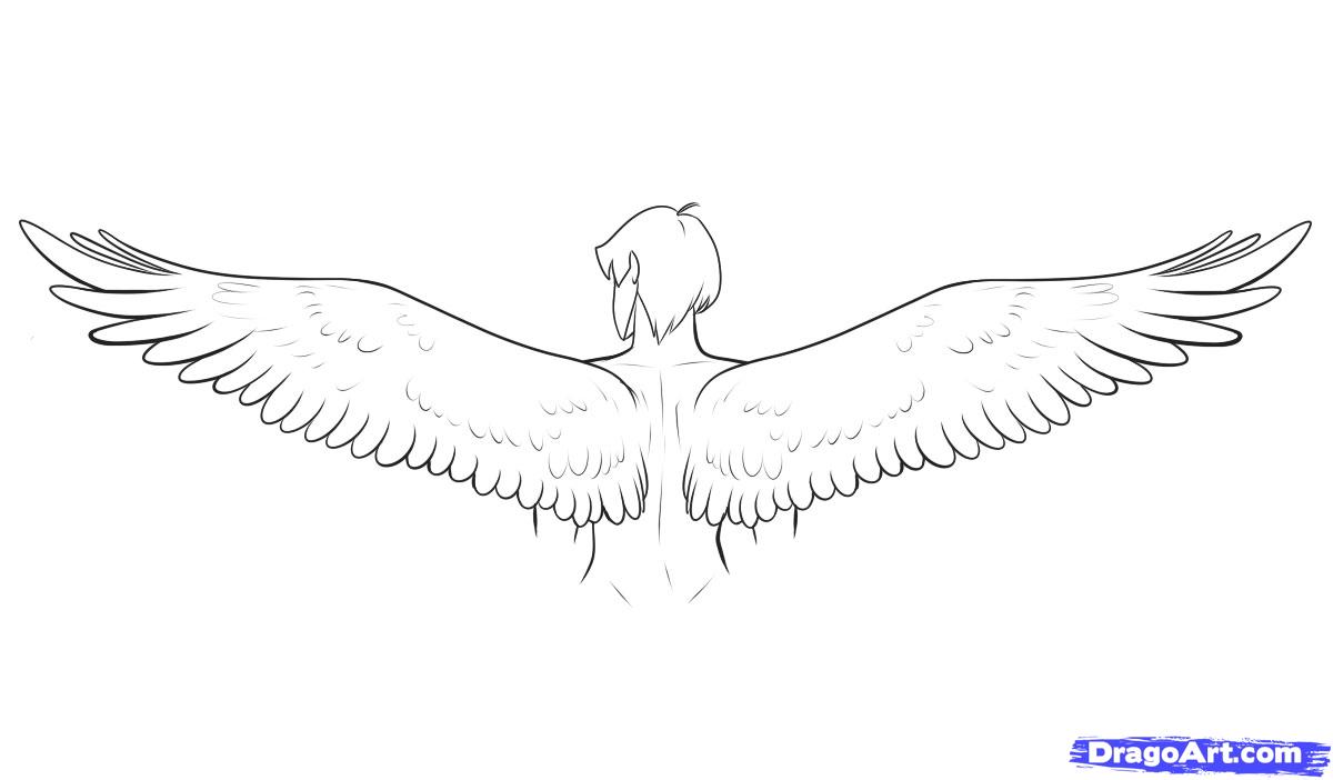 drawing-wings-step-9_1_000000042435_5