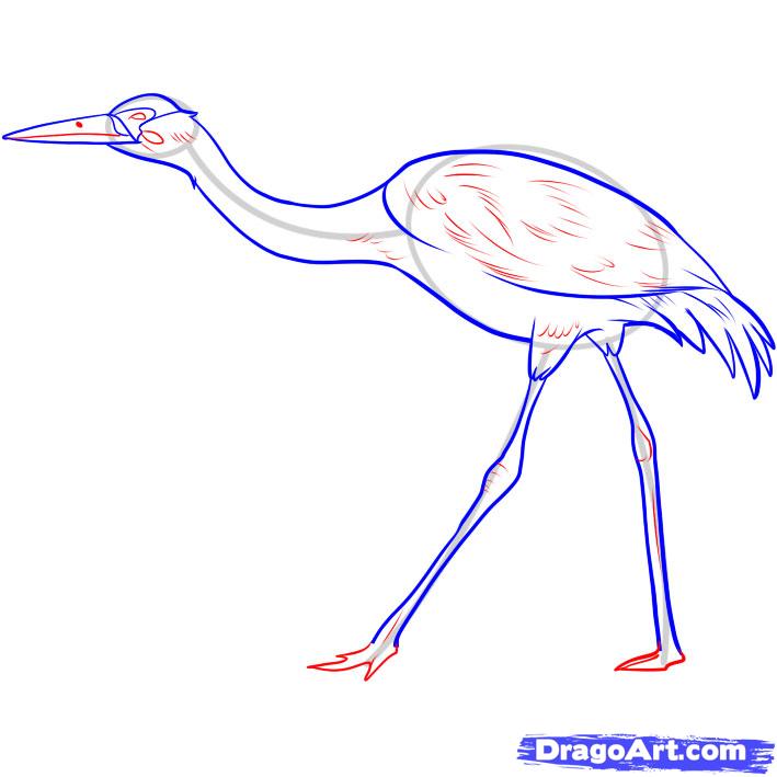 how-to-draw-a-crane-step-4_1_000000043677_5