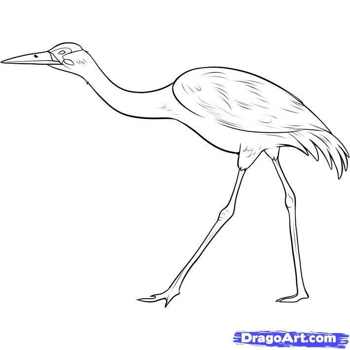 how-to-draw-a-crane-step-5_1_000000043681_5