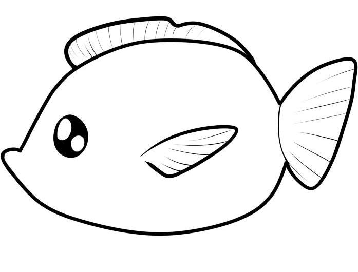 how-to-draw-a-fish-for-kids-step-7_1_000000045759_5