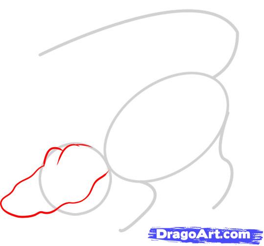 how-to-draw-a-gator-step-2_1_000000044083_5