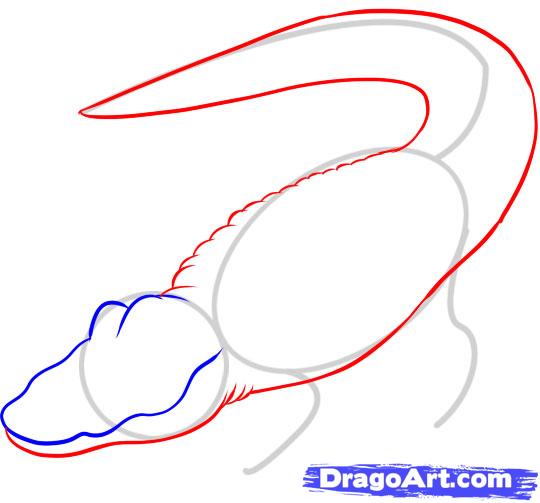 how-to-draw-a-gator-step-3_1_000000044085_5