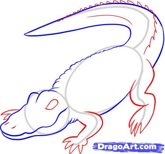 how-to-draw-a-gator-step-4_1_000000044087_5