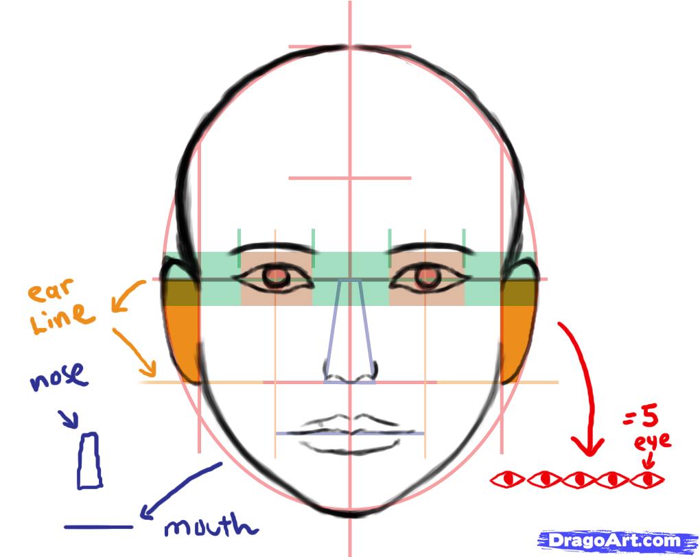 how-to-draw-a-human-face-step-5_1_000000040805_5