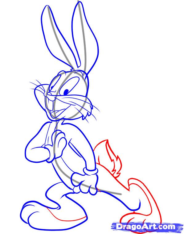 how-to-draw-a-looney-toon-step-5_1_000000040461_5