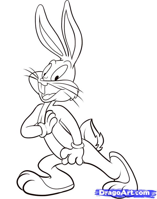 how-to-draw-a-looney-toon-step-6_1_000000040465_5