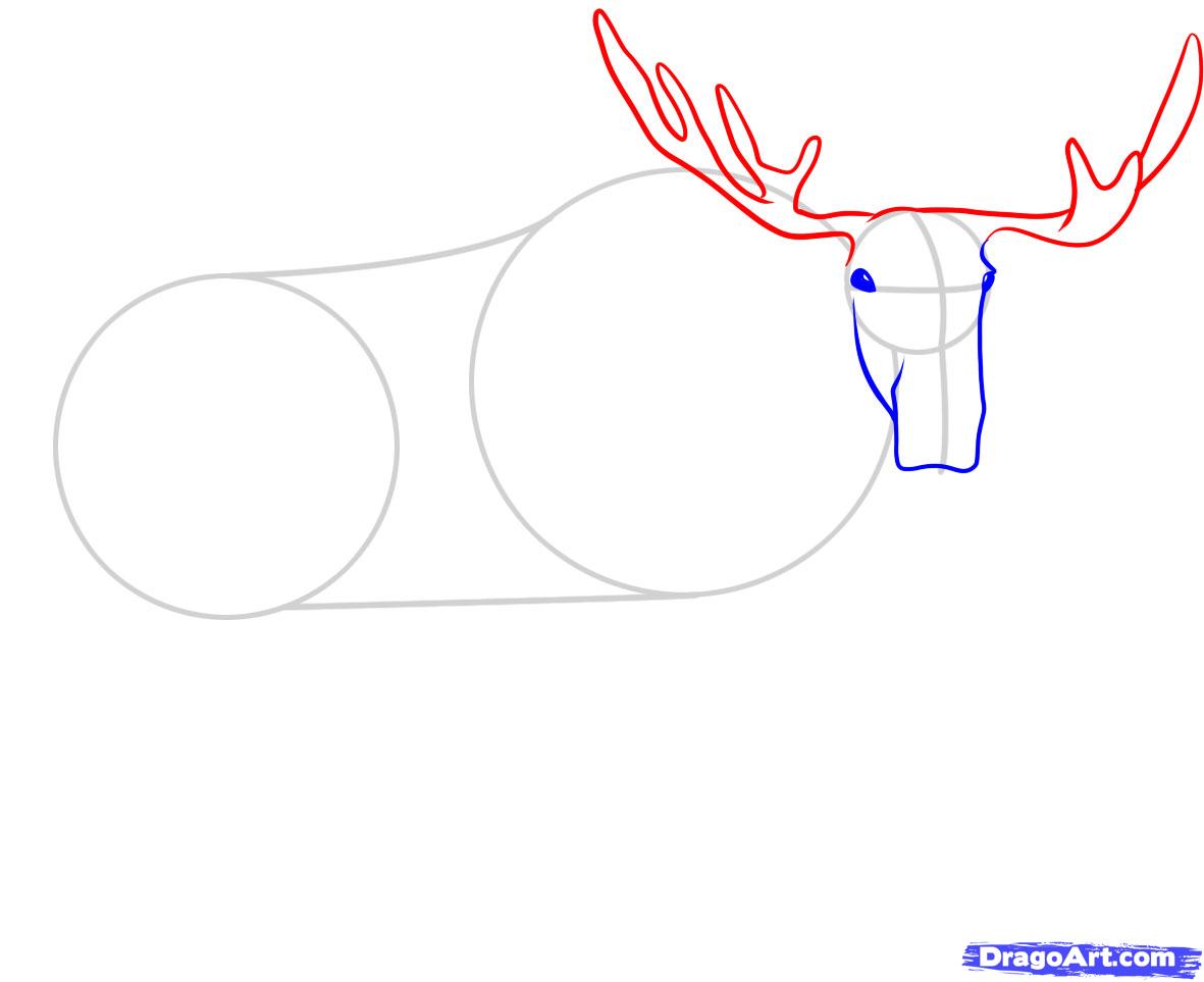 how-to-draw-a-moose-step-3_1_000000045903_5