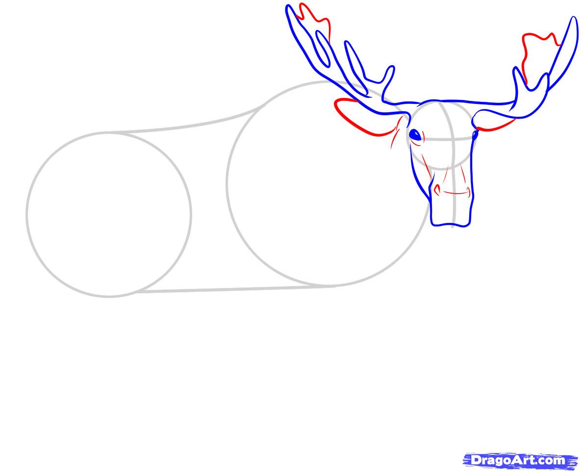 how-to-draw-a-moose-step-4_1_000000045905_5